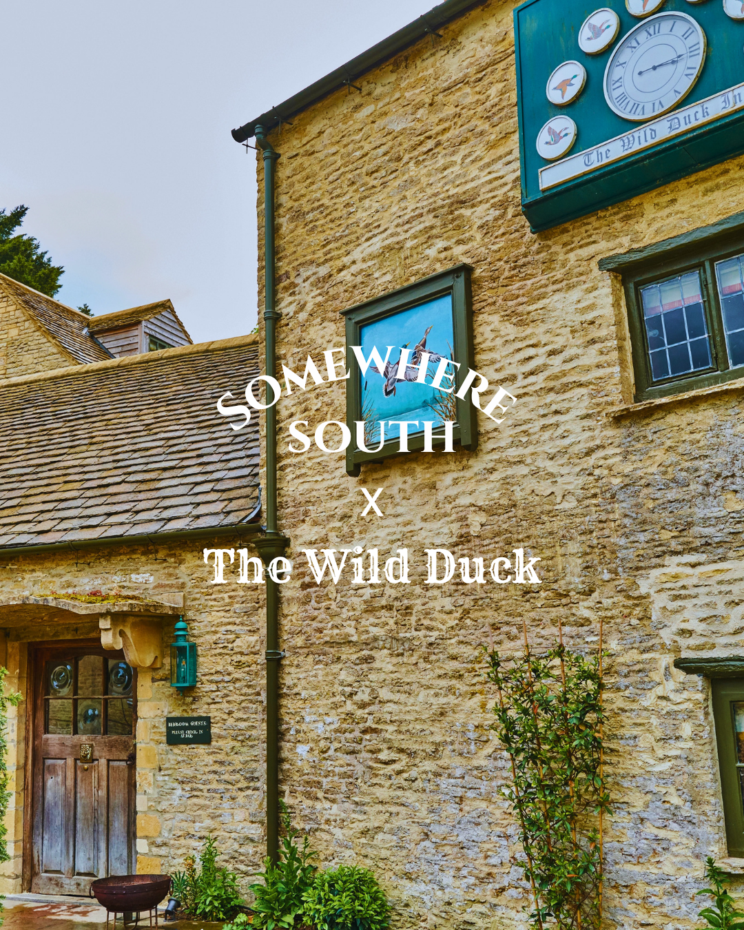 21st October - SoSo x The Wild Duck